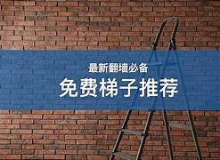 梯子vqn推荐的简单介绍