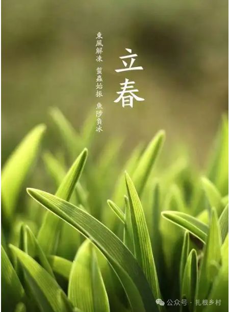 立春代表什么生肖，立春代表什么生肖特马的动物