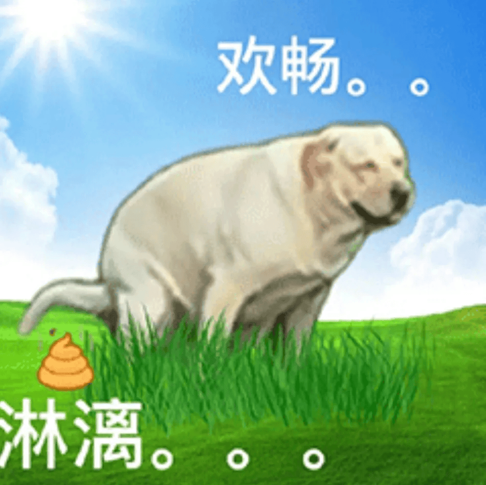 水满金山打一动物，水满金山钱满仓什么生肖