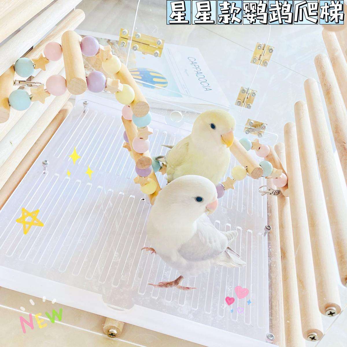 梯子鸭官网，梯子鸭嘎官网