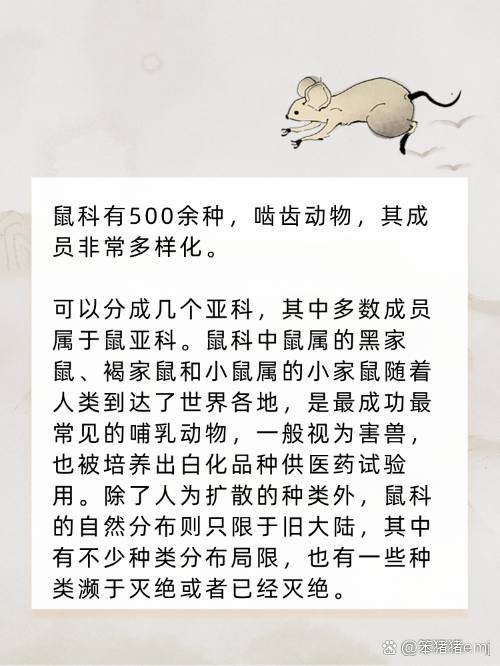 今期六字出玄机最佳生肖动物，今期六字出玄机,特数出此不为奇是什么生肖