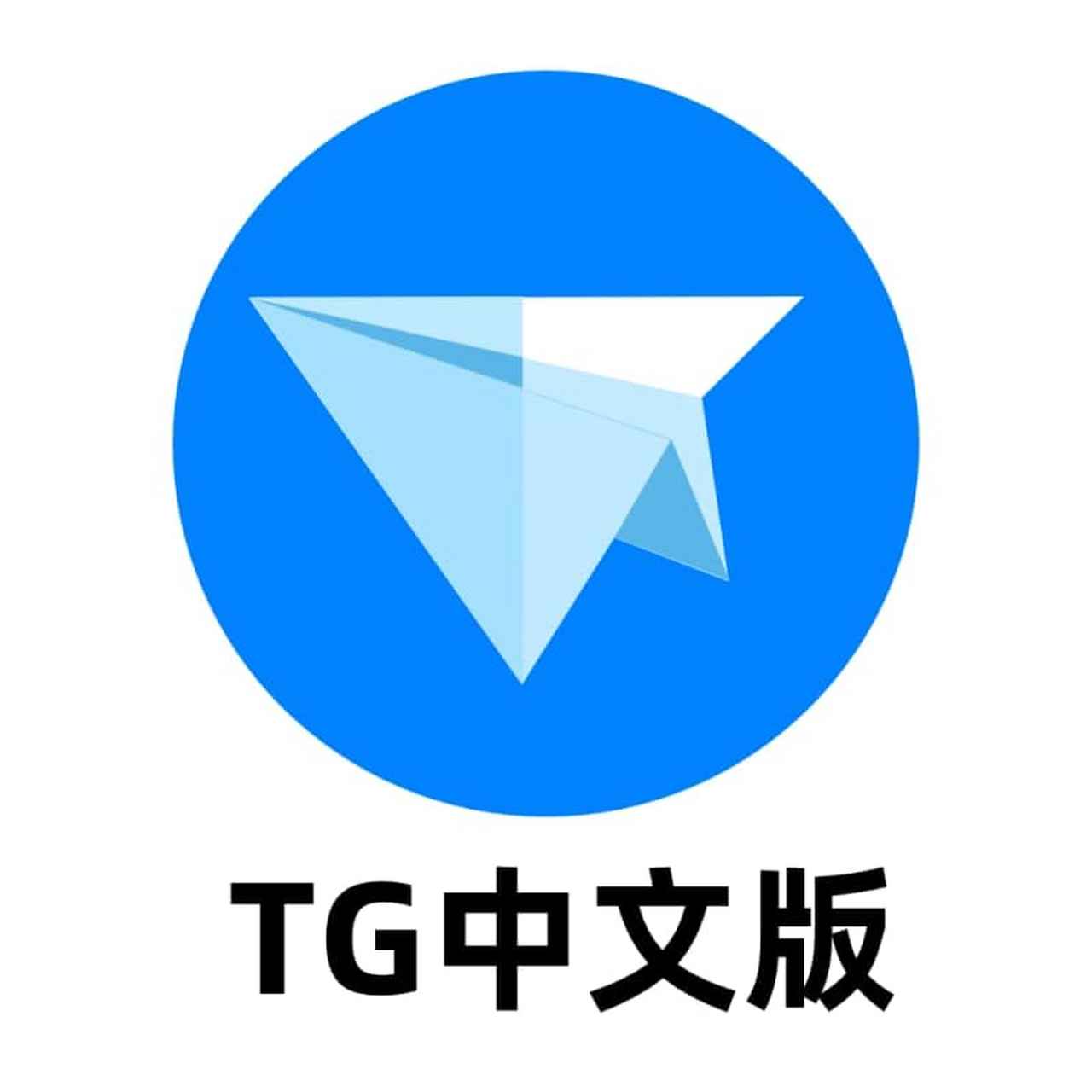 包含纸飞机tg中文破解版的词条