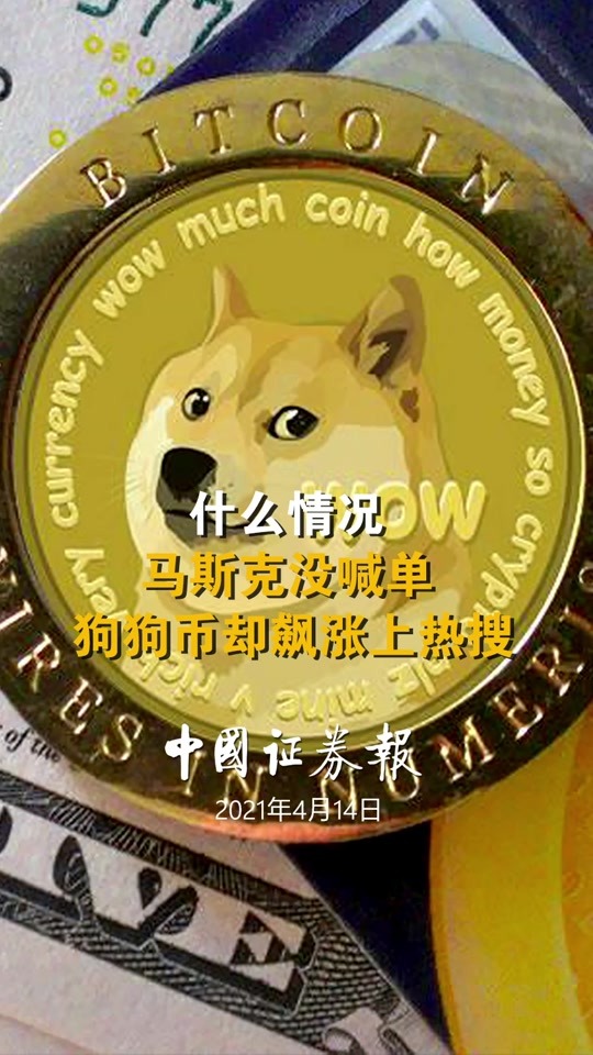 狗狗币官网，狗狗币官网地址