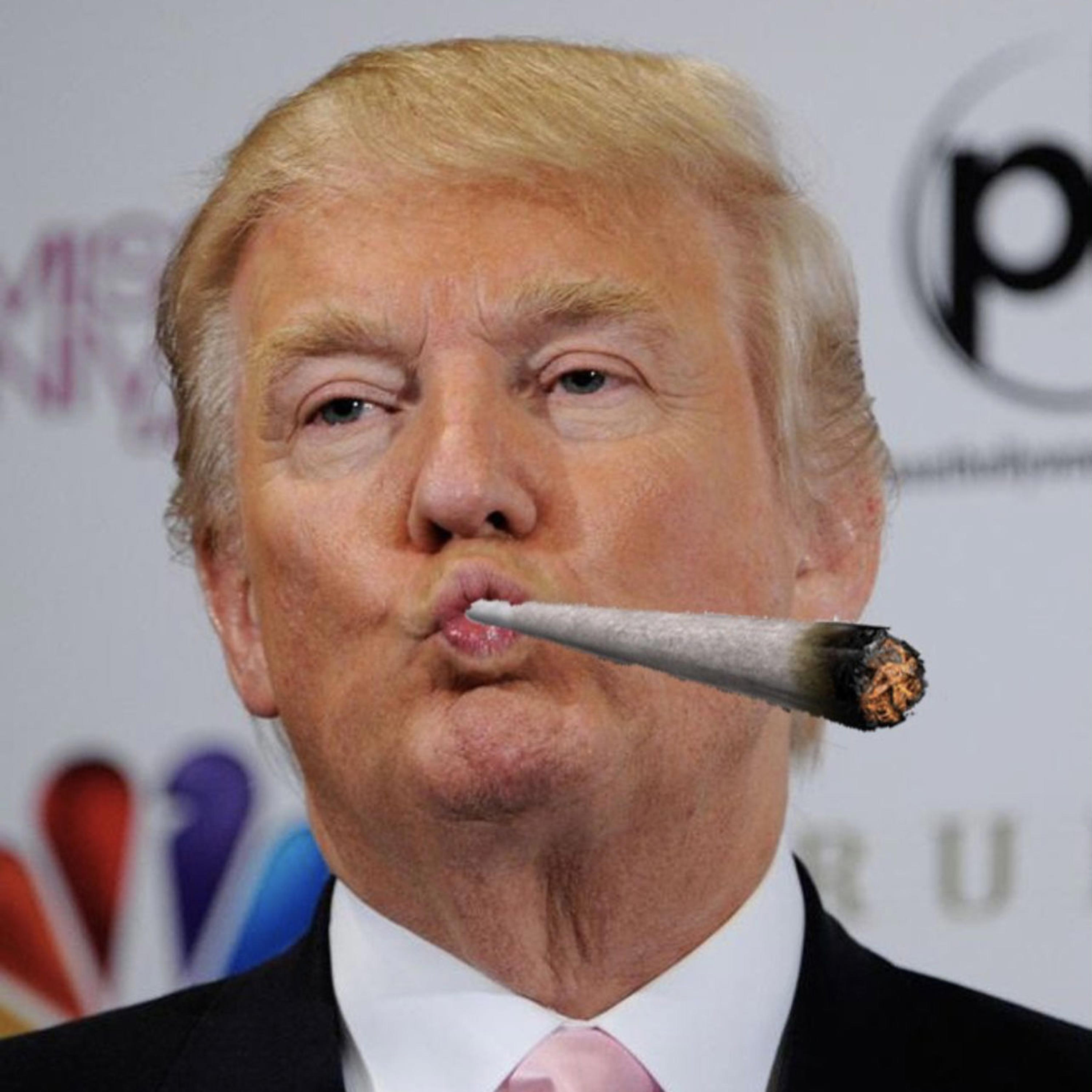 trump币官网，trumpcoin