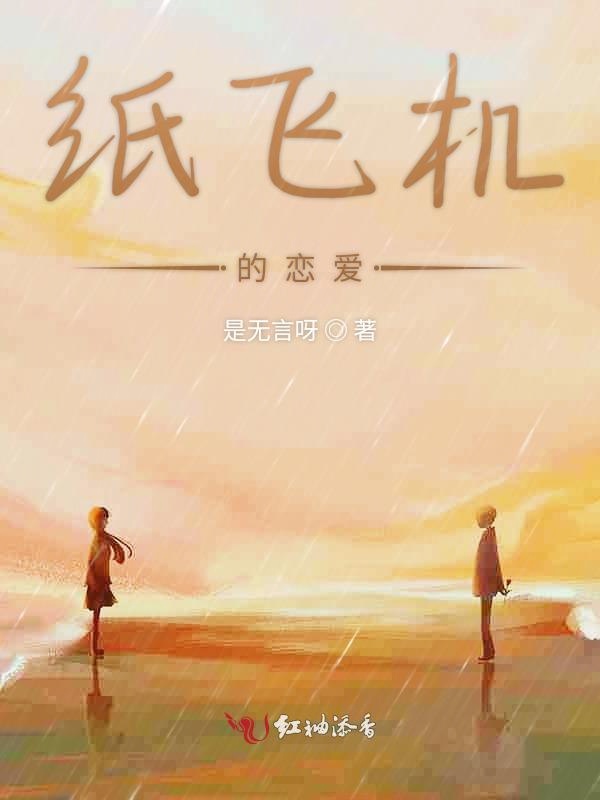 纸飞机小说琂，纸飞机小说第几章在一起