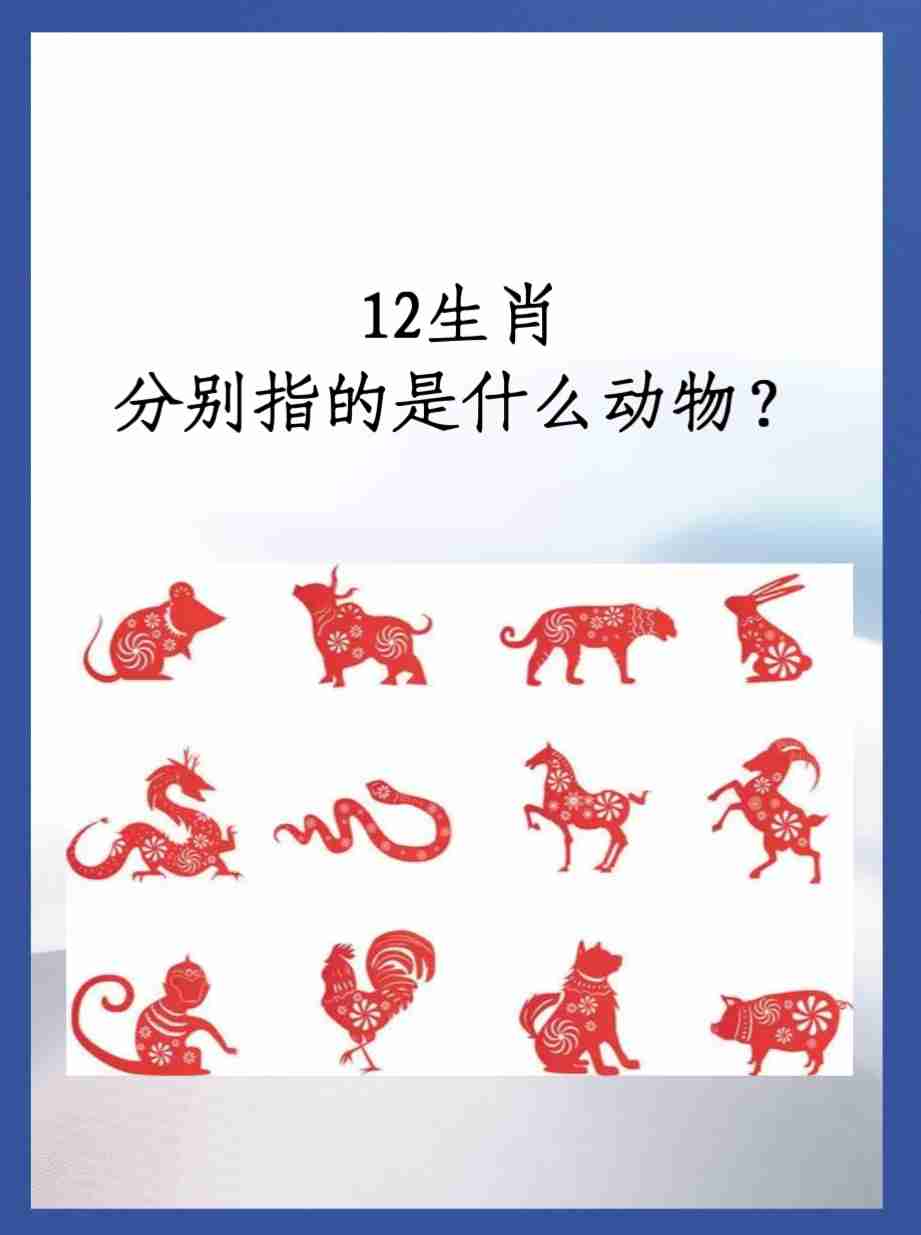 六字出玄机猜生肖是什么的简单介绍