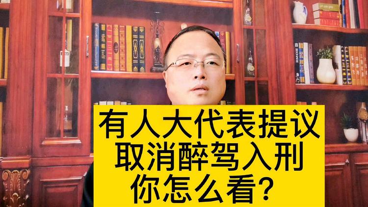 人大代表政协委员谈打击醉驾，人大代表政协委员谈打击醉驾问题