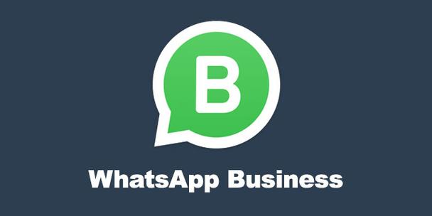 whatsapp哪国的软件，whatsapp在哪些国家比较受欢迎