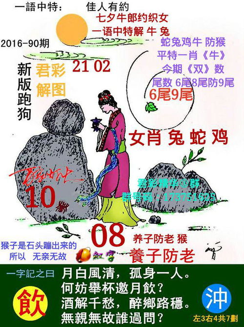 今期出码二六九是什么生肖，是六是八想办法今期看好二六九