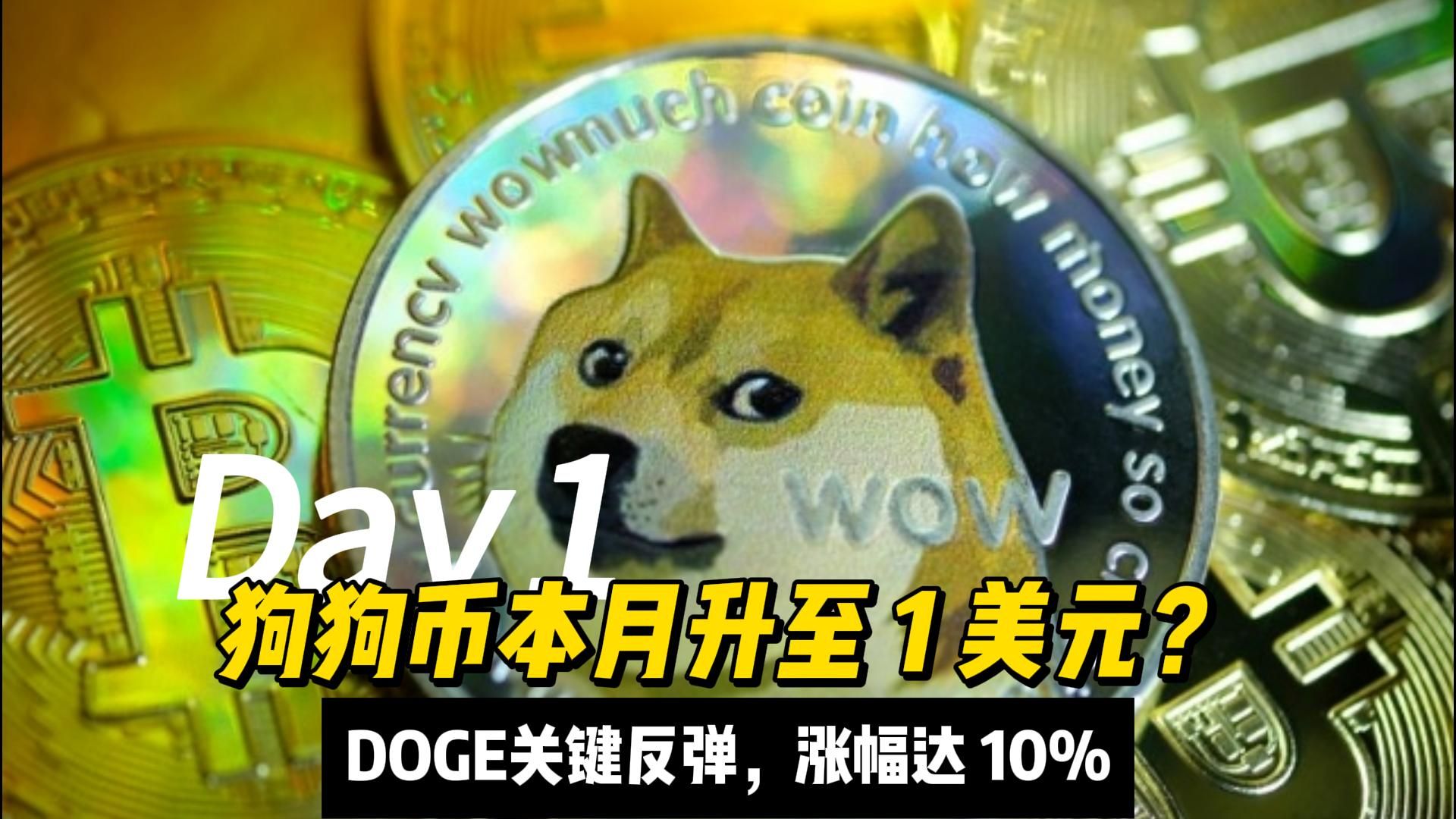 狗狗币最新准确消息，狗狗币今日行情价格5000元