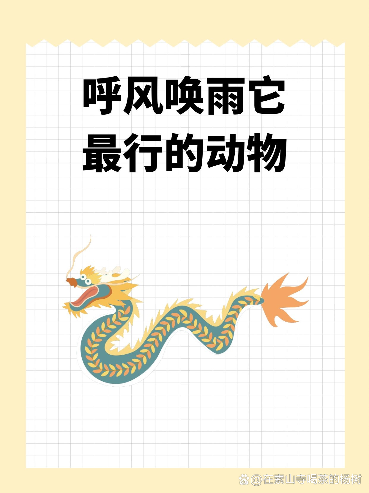 荫雨打一最佳动物，荫荫细雨是什么意思