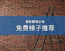 梯子vqn排行，2021梯子推荐