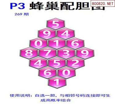 玄机三六数字几，今期玄机三六点猜生肖