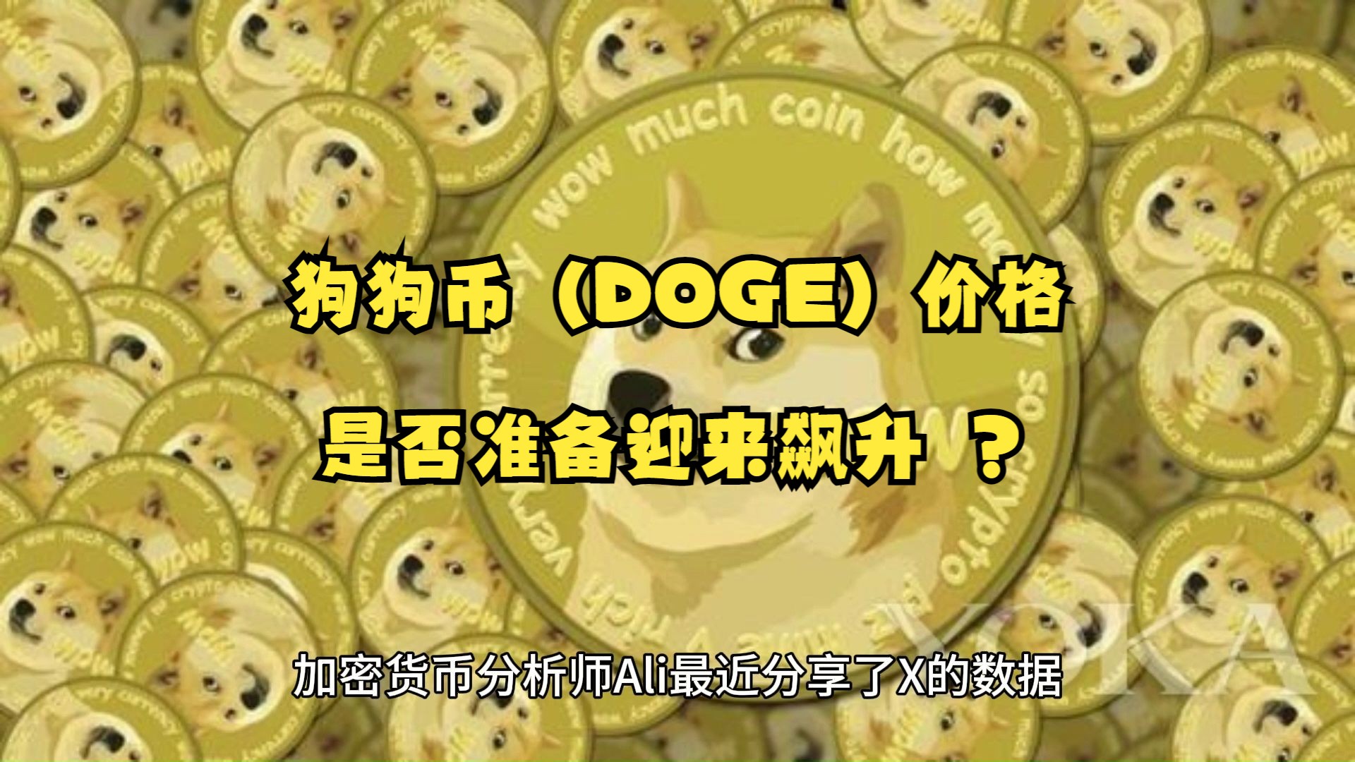 狗狗币行情，狗狗币行情图