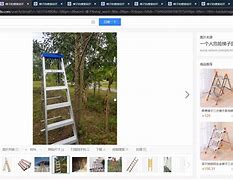 能看youtube的梯子，可以看youtube的梯子