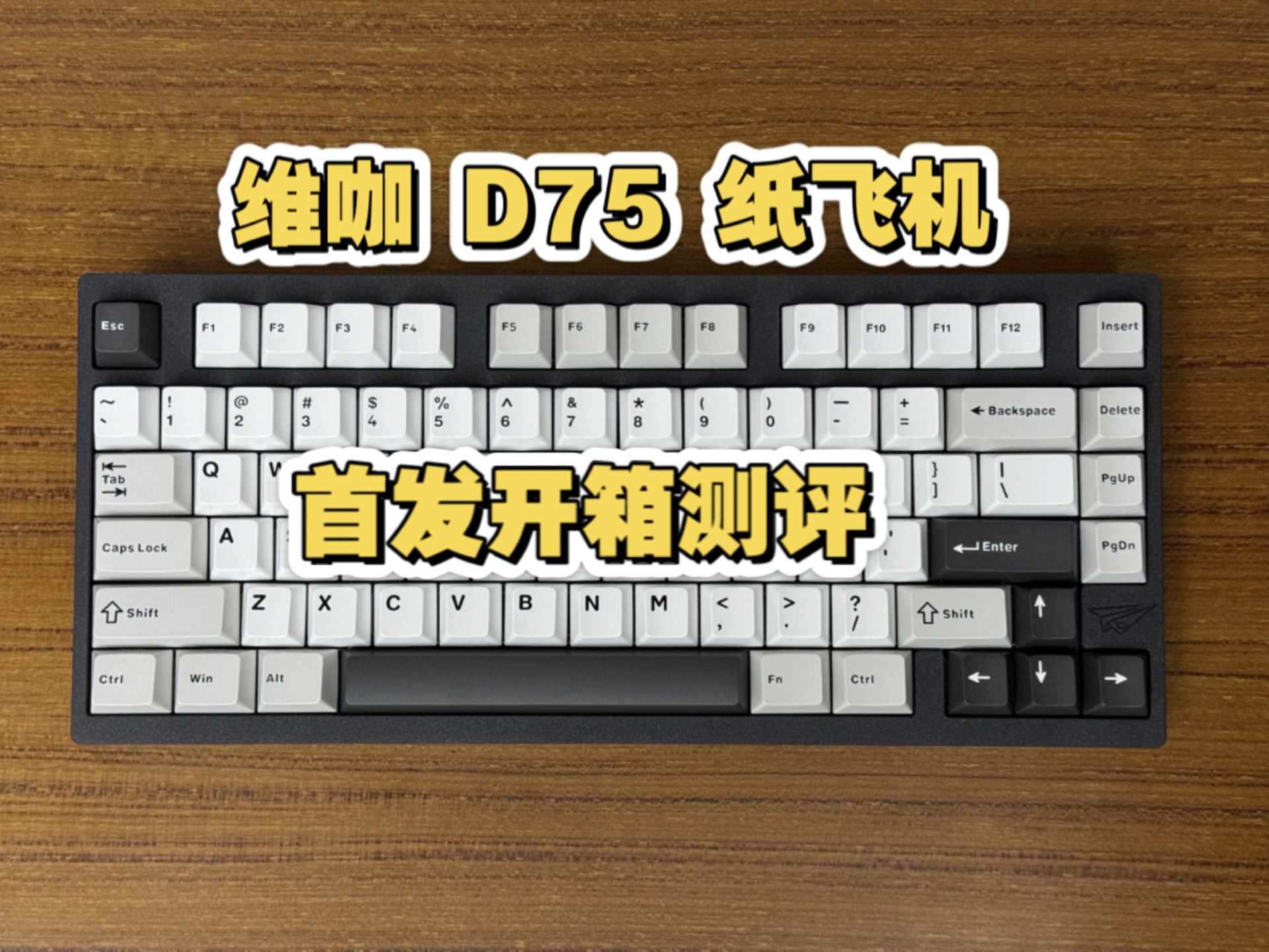 纸飞机官网中文版小编测评的简单介绍