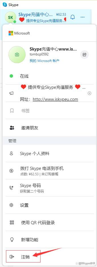 skype中文意思，skype意思中文翻译
