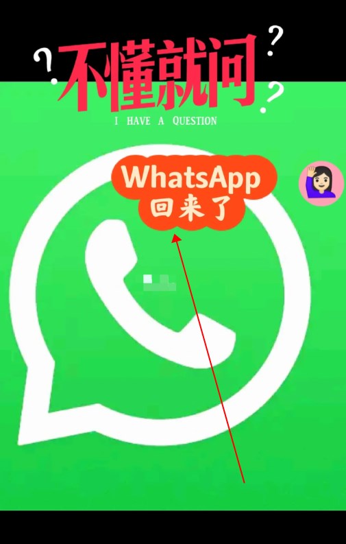 whatsapp安卓手机下载2020最新版本，whatsapp安卓手机版下载v22020624免费下载