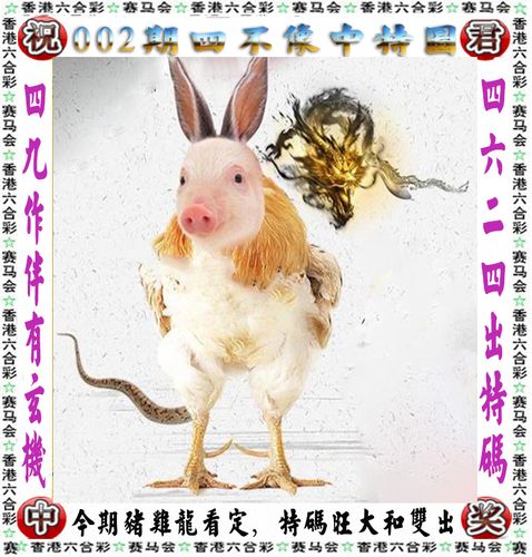六字打一生肖，六字打一生肖最佳答案