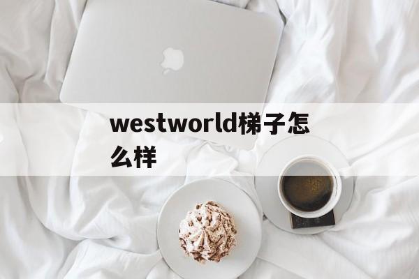 westworld梯子怎么样，西部世界westworld梯子